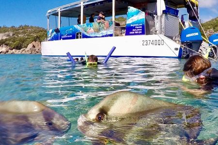 Magnetic Island Discovery Tour with Snorkeling & Paddle Boarding