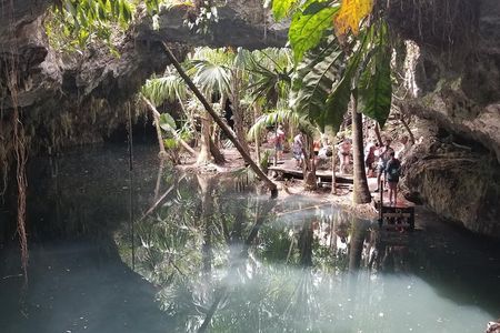 Tours On The Island Cozumel