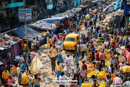 Kolkata's Flower Market - Hooghly's Flower Fest Tour