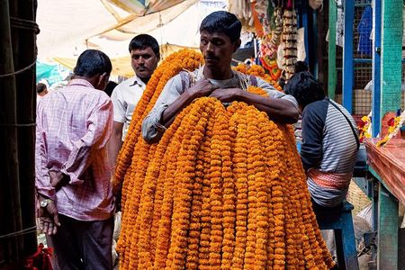 Kolkata's Flower Market - Hooghly's Flower Fest Tour