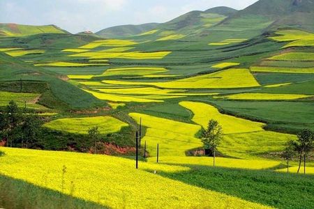 4-Day Tour to Yangshuo Li River Cruise & Longsheng Rice Terraces