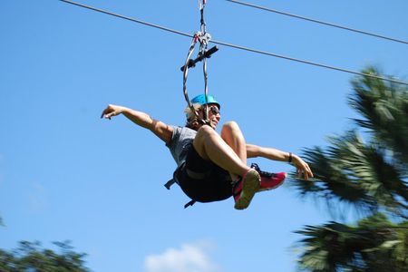 Monkeyland and Zipline Adventure from Puerto Plata