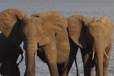 10 Days Beauty of Namibia | Guided Camping