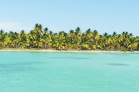 Saona for Cruiseship passengers 