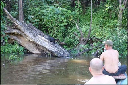 amazon rainforest adventure 3/ Days 2/ Nights