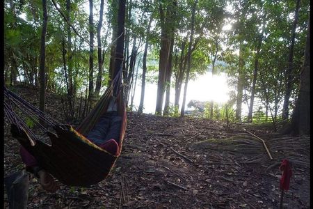 Amazon jungle expedition 4/ Days 3/ Nights 600 usd
