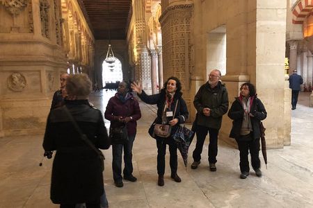 Mosque of Cordoba Private Tour in English Ticket included