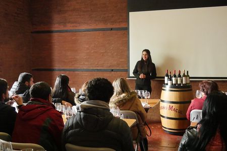 "Premium Wine Tour" Viña Cousiño Macul Official english