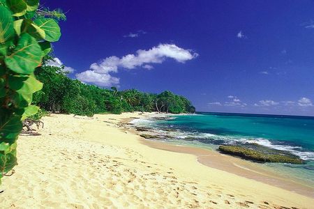 South Caribbean Tour in Martinique