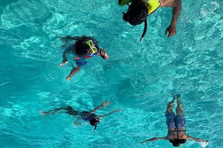 Bluefinn242 Swim with the Turtles in Nassau Bahamas 