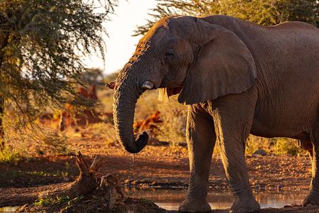  3 Days Masai Mara