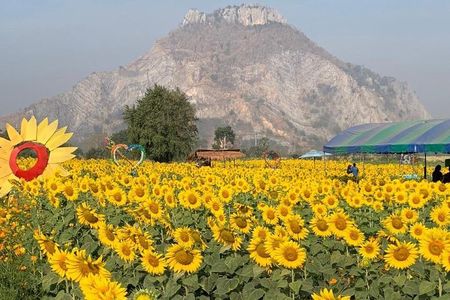 Khao Yai national Park day tour from Bangkok