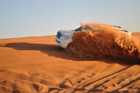 Private Morning Safari With 10 Minutes Camel Ride
