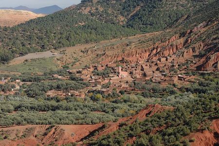 Half Day Walk in the Atlas Mountains - Unique experience 