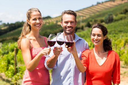 Radda in Chianti: Wine Tasting Tour with lunch at the Winery