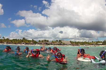 Swim with sea turtles