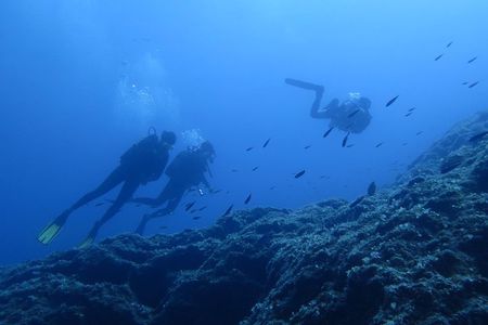 Private Try Scuba Diving 