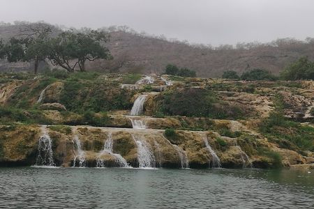 East Salalah Highlights: Half-Day Heritage & Scenic Countryside