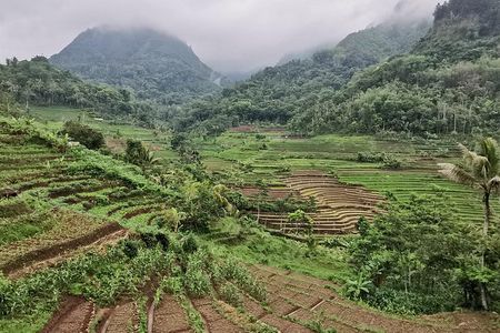 Mysterious Ulen Sentalu Museum & Incredible view Trekking Selogriyo Temple
