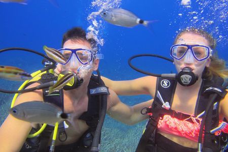 Side: Scuba Diving Experience