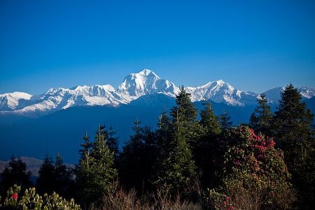 2 Days Australian Camp Trek from Pokhara