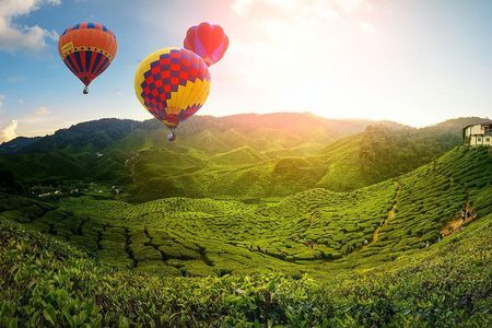 2D1N Cameron Highlands, Batu Caves, Ipoh, Kuala SelangorFireflies