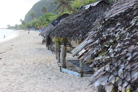Tour Samoa with a local~ Full Day Island Tour of Apia Upolu Samoa