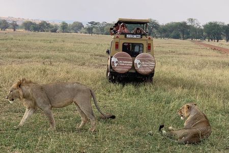 3 Days Tanzania Safari