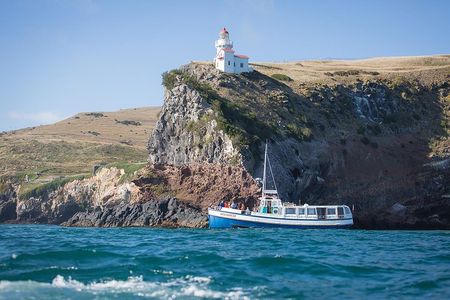 City to Sea Wildlife Cruise + Peninsula Bus Tour 