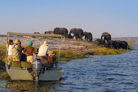 2-Day Nyerere National Park , Boat Safari & Game Drive