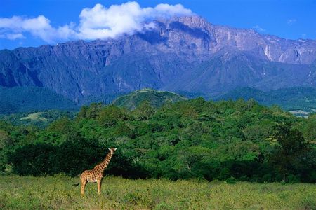 1 Day: Arusha National Park