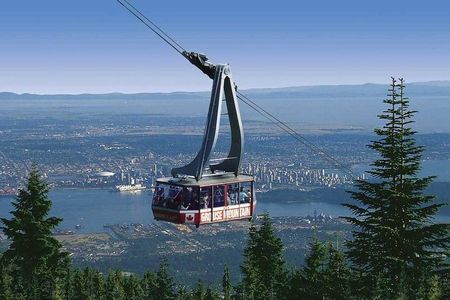 Private Tour: Capilano Suspension Bridge and Grouse Mountain