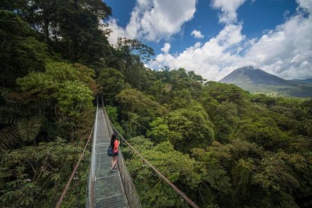 Arenal Hanging Bridges from La Fortuna