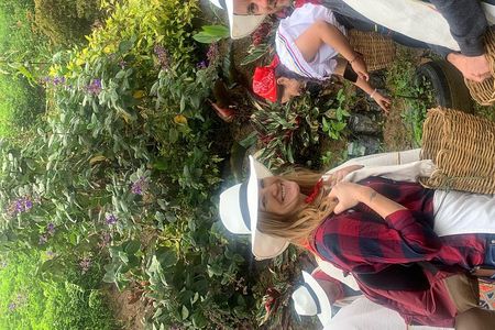 Coffee tour+Guatape 