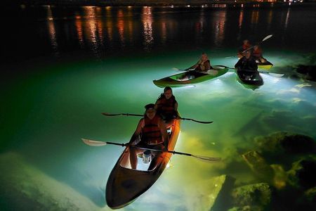 Sharkeys Glass Bottom Fish Feeding LED Night Tour St. Pete Beach