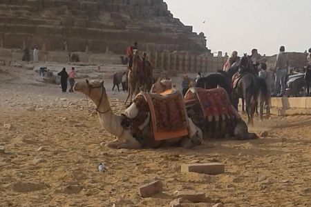 Day Tour To Giza Pyramids With Camel Ride And Egyptian Museum In Cairo