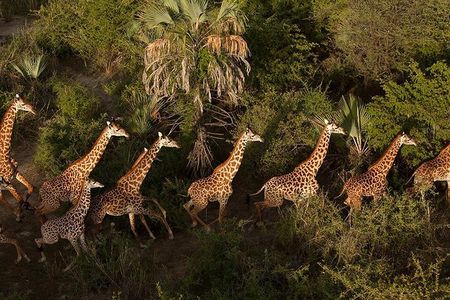 3 Day: Tarangire, Ngorongoro Crater and Lake Manyara N.P