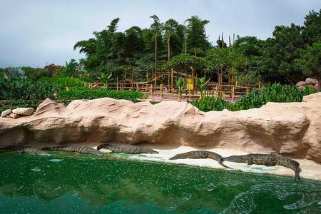 CrocoPark Visit (Transport included)