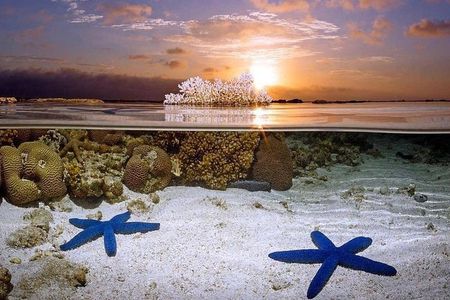 Bunaken Island three-point snorkeling includes lunch and shuttle