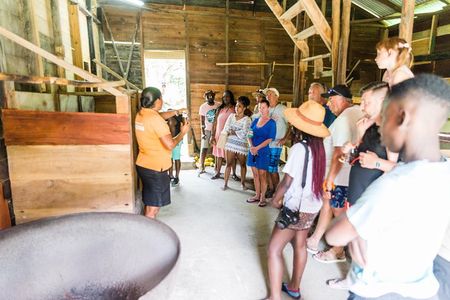 Soufriere Excursion with Rum & Chocolate Tasting