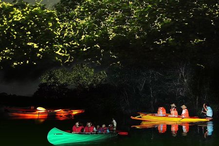Bohol Firefly Watching (Private)