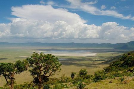 1 Day: Taste of Wildlife to Ngorongoro Crater