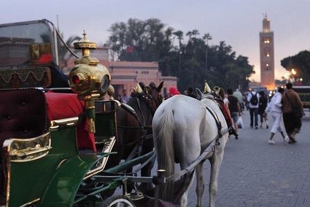  Sunset Marrakech city tour & caleche by night + dîner optionnel 