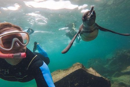 6-day Galapagos Island Hopping Adventure Expedition