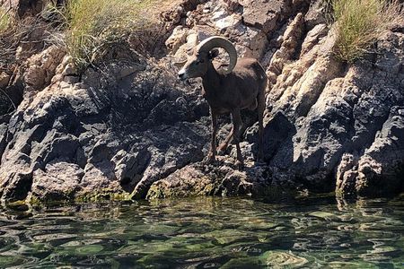 Self-Drive Emerald Cave Kayak Tour: Guided Willow Beach Paddle