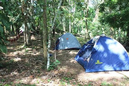 10-Day Expeditions in Dorado Lake Pacaya Samiria National Reserve