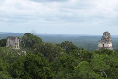 Tikal Maya Site with Local Guide & Lunch