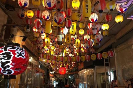 Osaka Nighttime tour 