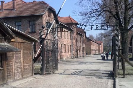 Auschwitz - Birkenau And Wieliczka Salt Mine Guided Tour With Private Transport