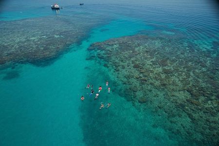 Ocean Freedom Great Barrier Reef Luxury Snorkel and Dive Cruise
